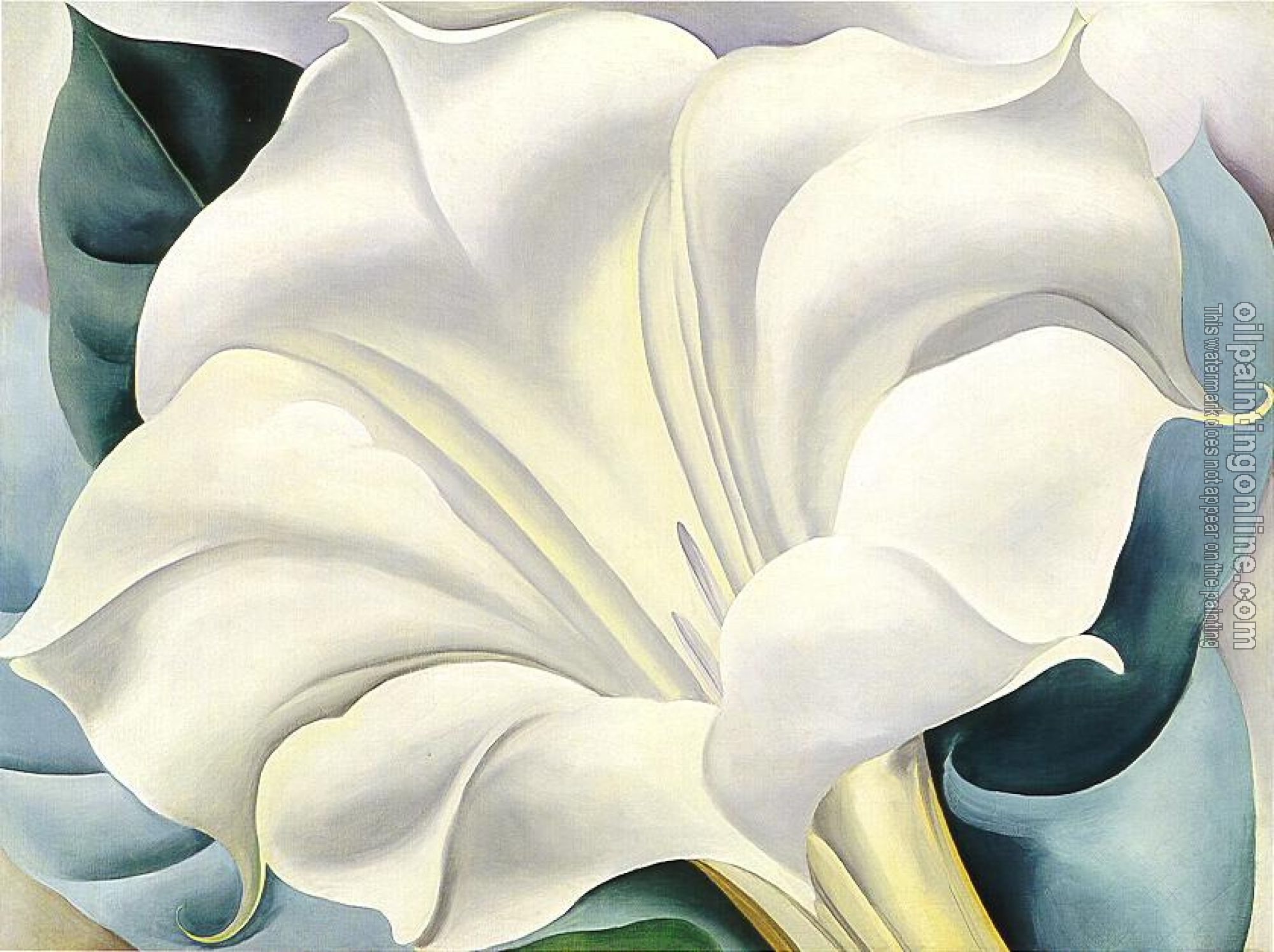 O Keeffe, Georgia - White Trumpet Flower